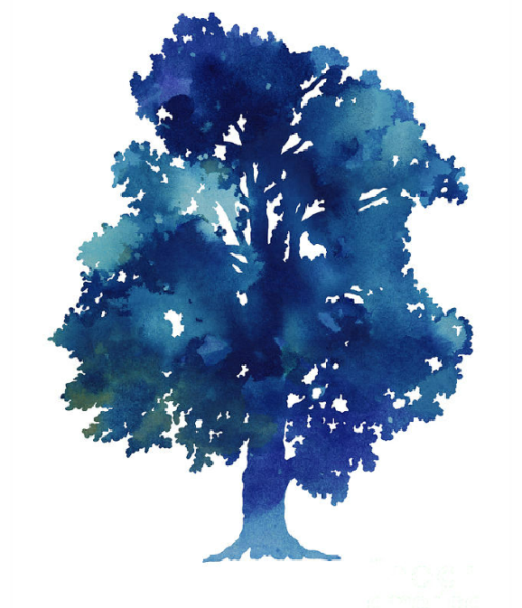 Azure Oak